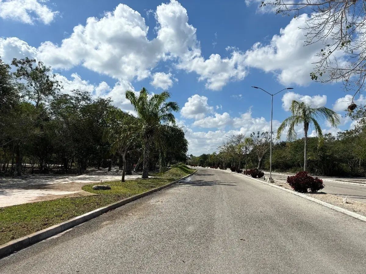 Lote em Komchen, Mérida, foto 6 de 18