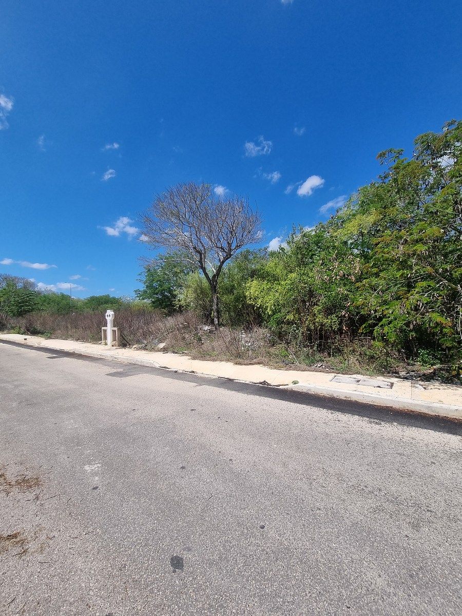 Lot in Real Montejo, Mérida, photo 7 of 8