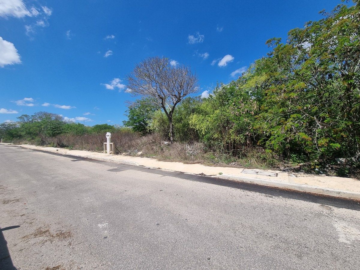 Lot in Real Montejo, Mérida, photo 8 of 8
