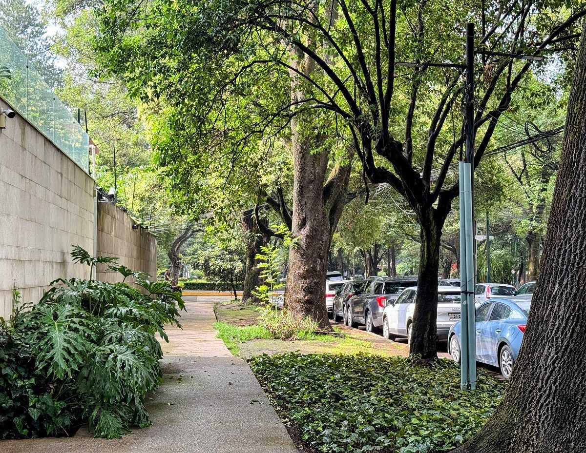 Office in Polanco III Sección, Miguel Hidalgo, photo 10 of 24