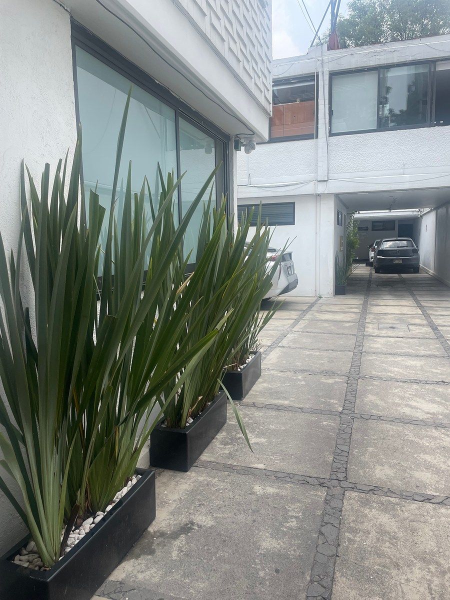 Sala Comercial em Del Valle Sur, Benito Juárez, foto 9 de 9