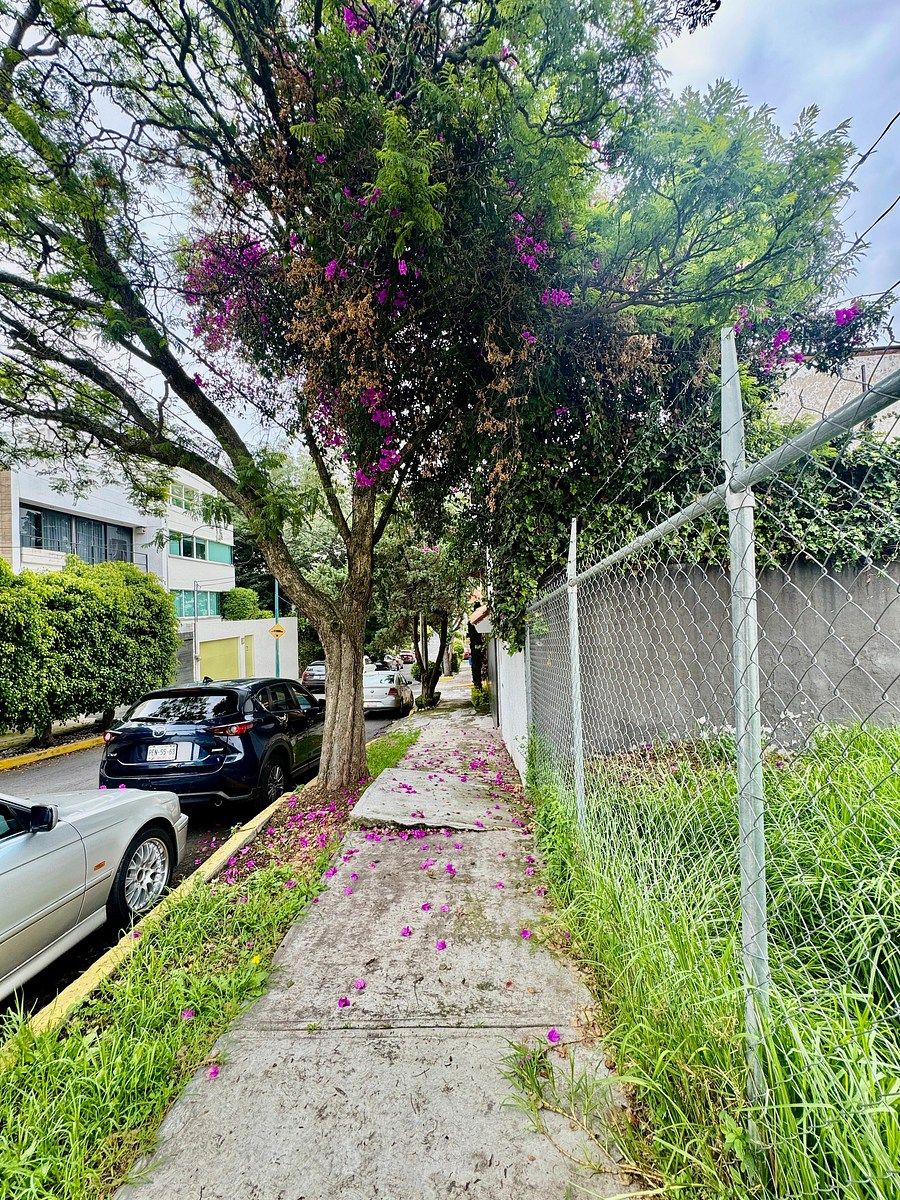 Terreno en Lomas de las Águilas, Álvaro Obregón, foto 2 de 7