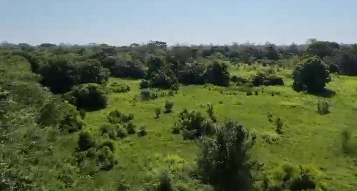 Rancho de 15 hectáreas Jalapa Tabasco $3,900,000, foto 1 de 4