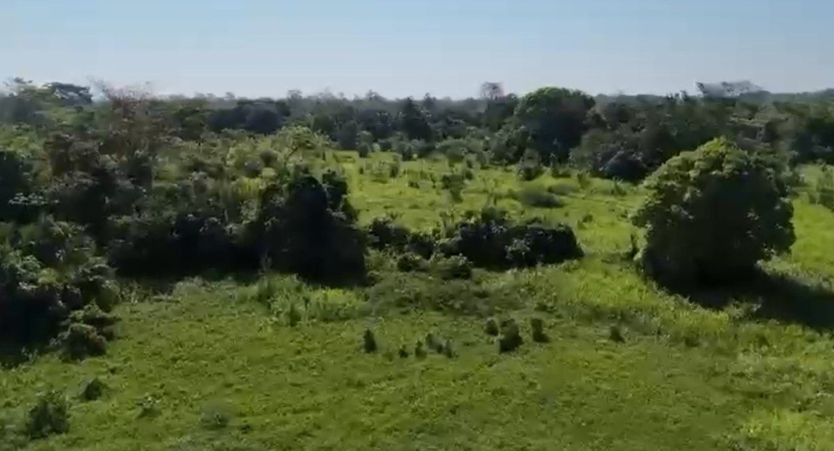 Fazenda em Jalapa, Jalapa, foto 2 de 4