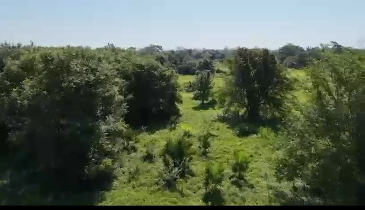 Fazenda em Jalapa, Jalapa, foto 3 de 4