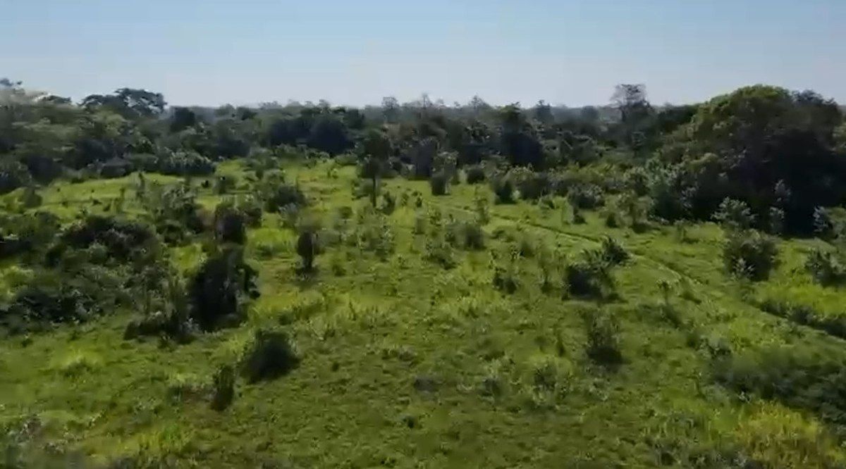 Fazenda em Jalapa, Jalapa, foto 4 de 4