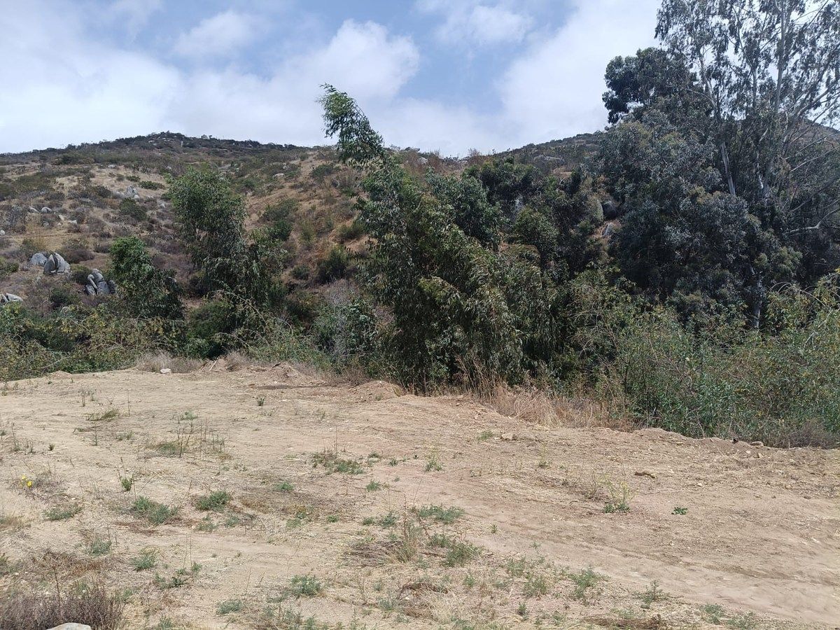 Commercial Lot in Los Encinos, Ensenada, photo 5 of 5
