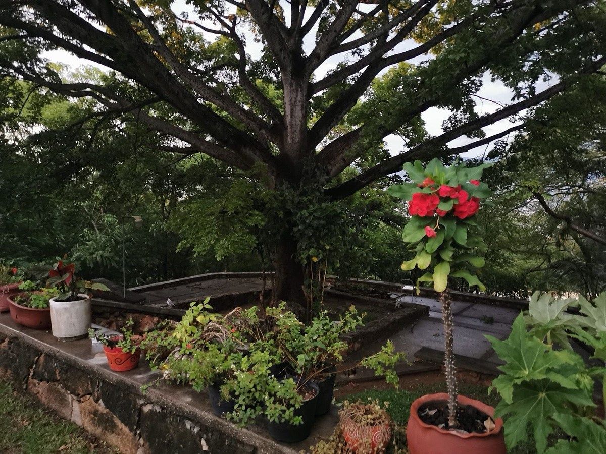 Casa em San Francisco, Tuxtla Gutiérrez, foto 8 de 13