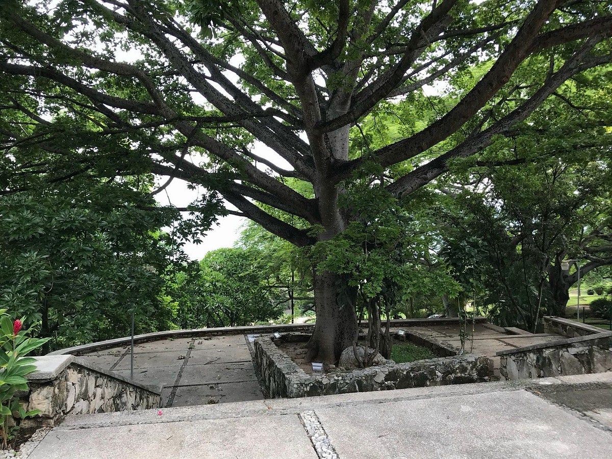 Casa em San Francisco, Tuxtla Gutiérrez, foto 10 de 13