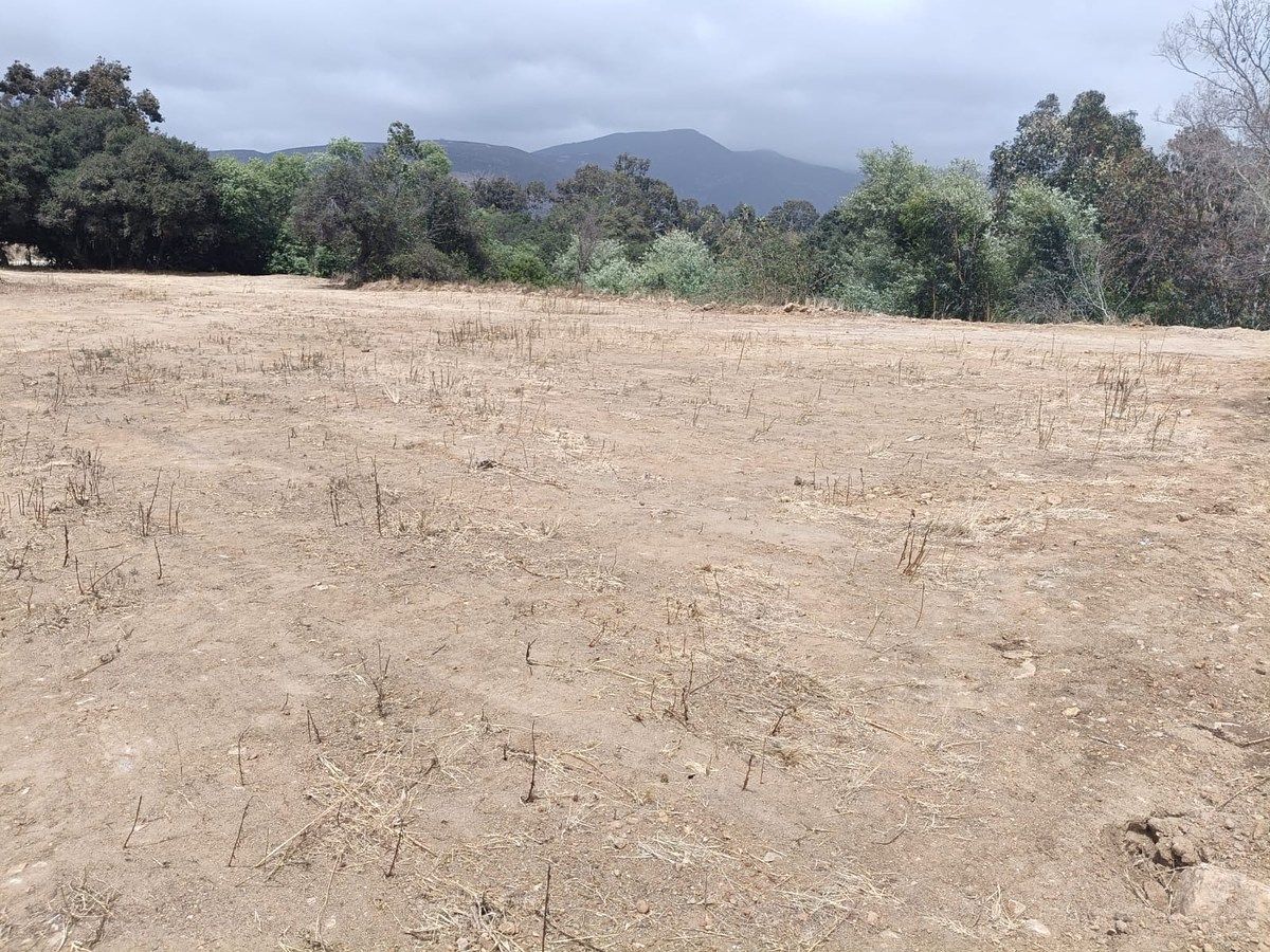 Commercial Lot in Los Encinos, Ensenada, photo 6 of 10