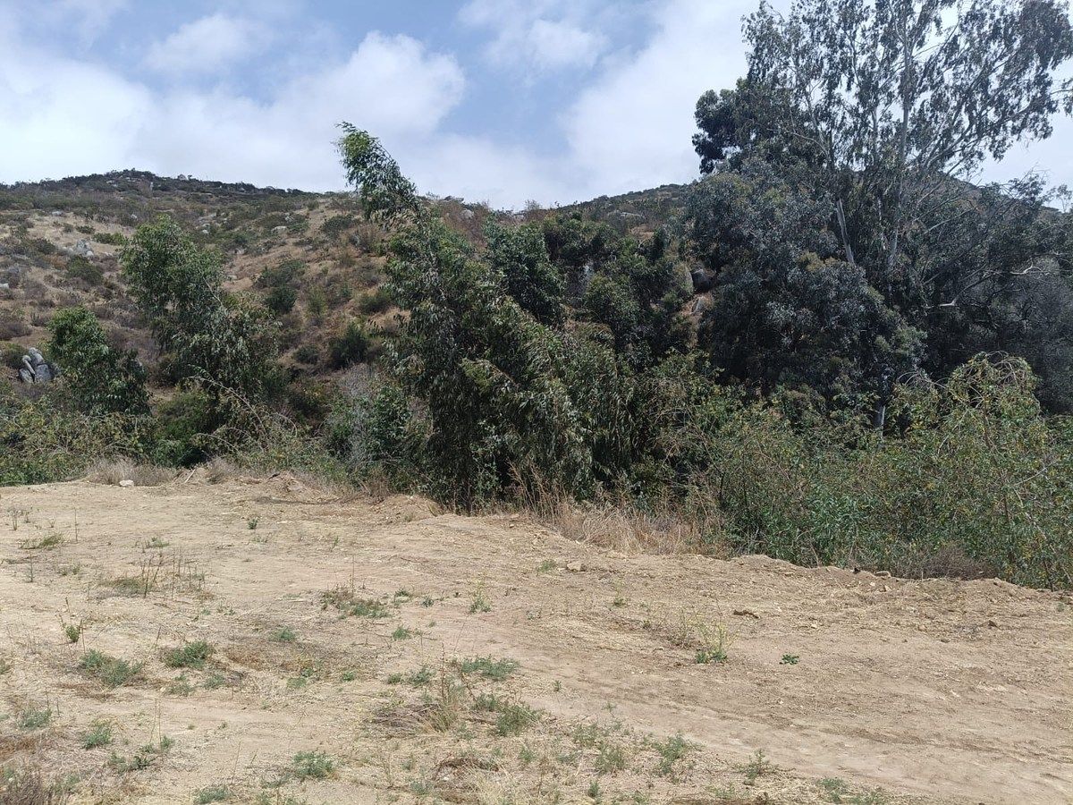 Commercial Lot in Los Encinos, Ensenada, photo 10 of 10