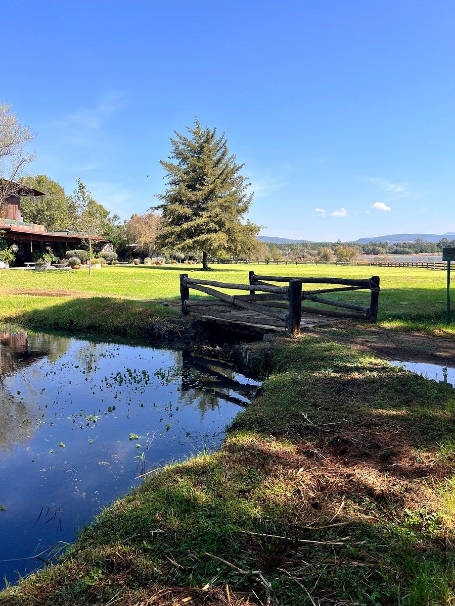 Luxury land in Tapalpa, photo 1 of 18
