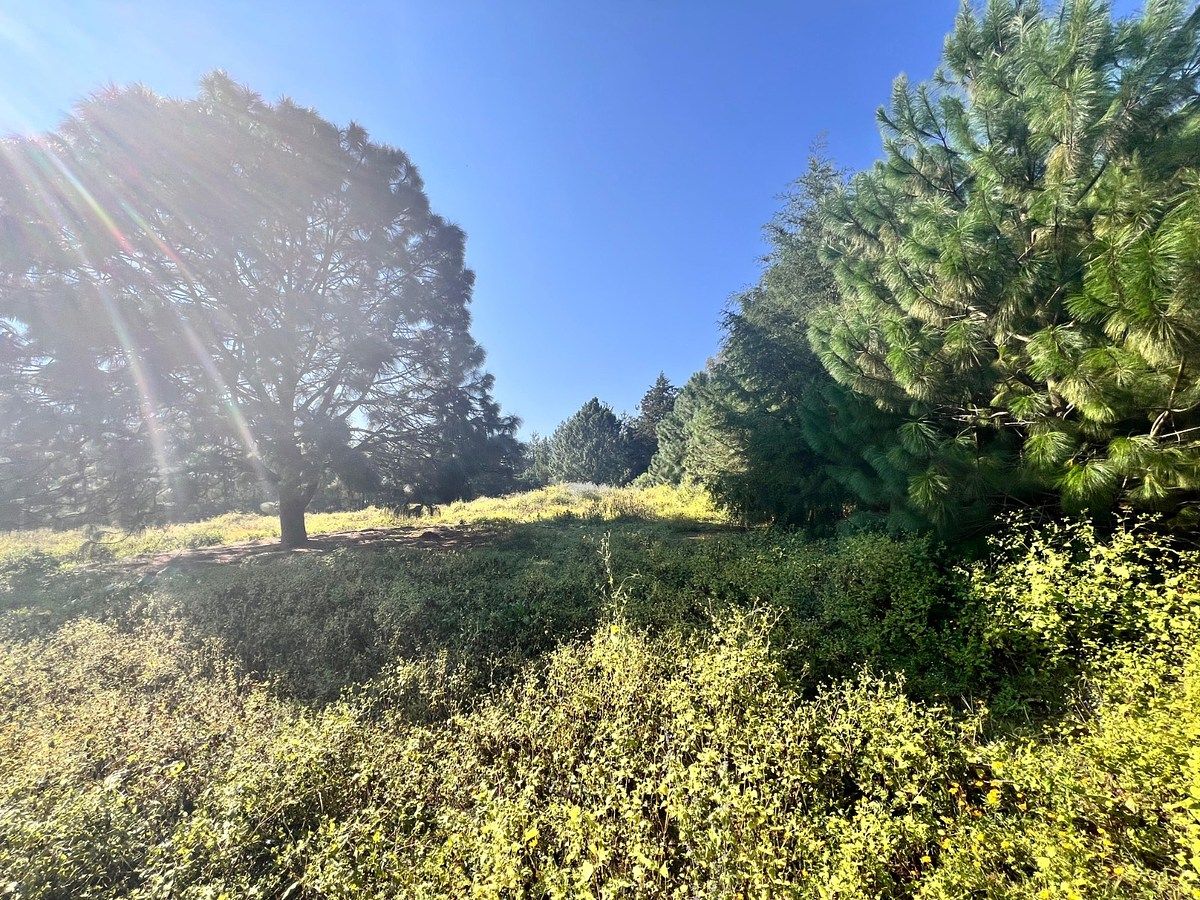 Lot in Tapalpa, Tapalpa, photo 2 of 18