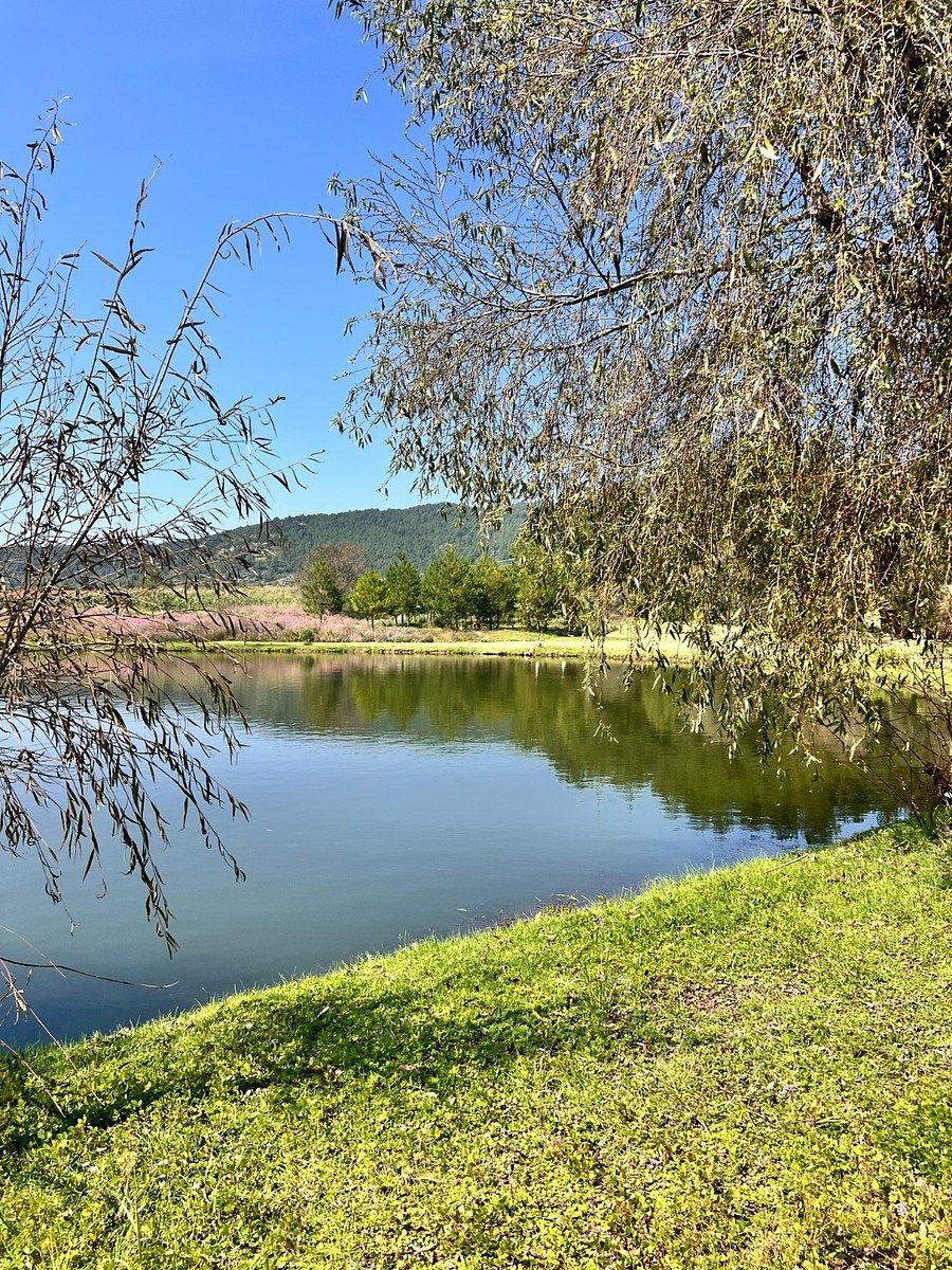 Lot in Tapalpa, Tapalpa, photo 4 of 18
