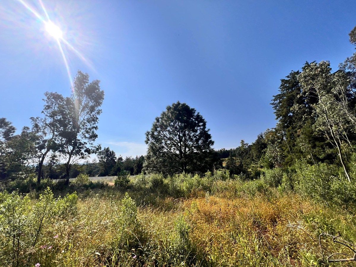 Lot in Tapalpa, Tapalpa, photo 7 of 18