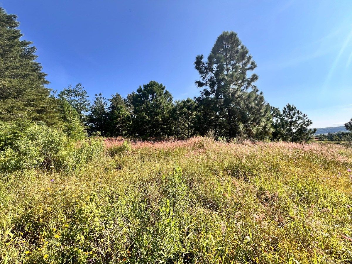 Lot in Tapalpa, Tapalpa, photo 8 of 18