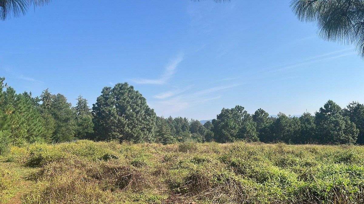 Lot in Tapalpa, Tapalpa, photo 9 of 18