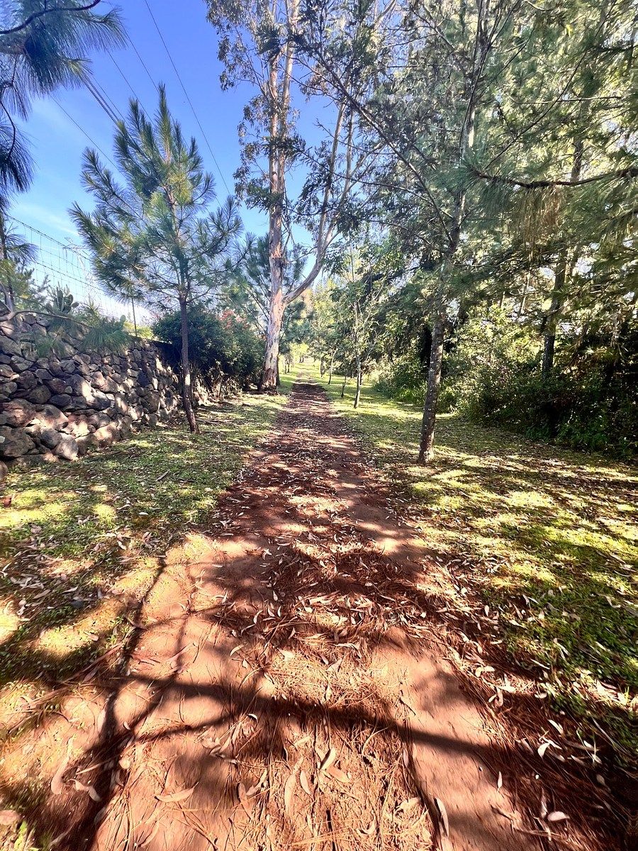 Lot in Tapalpa, Tapalpa, photo 11 of 18