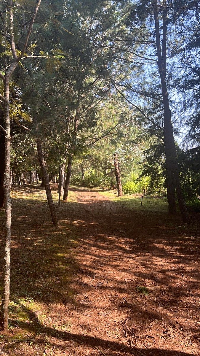 Lot in Tapalpa, Tapalpa, photo 12 of 18