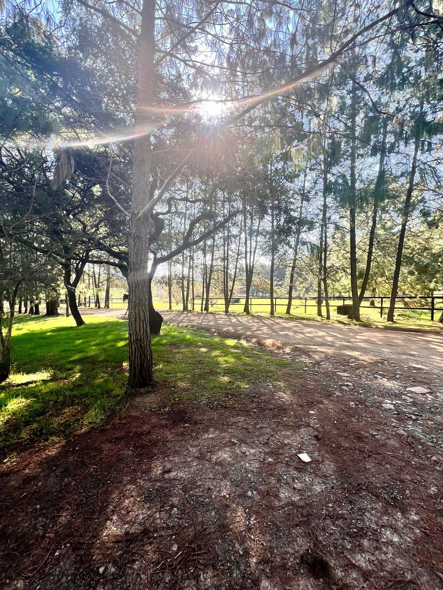 Lot in Tapalpa, Tapalpa, photo 14 of 18