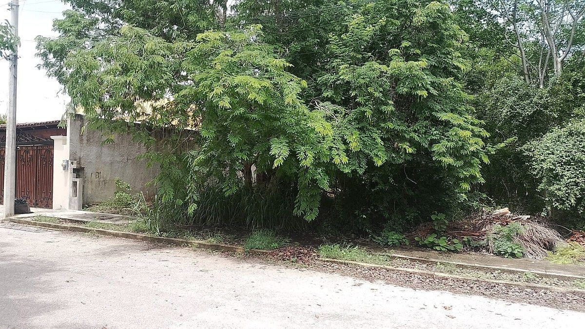 Lot in Cholul, Mérida, photo 13 of 13