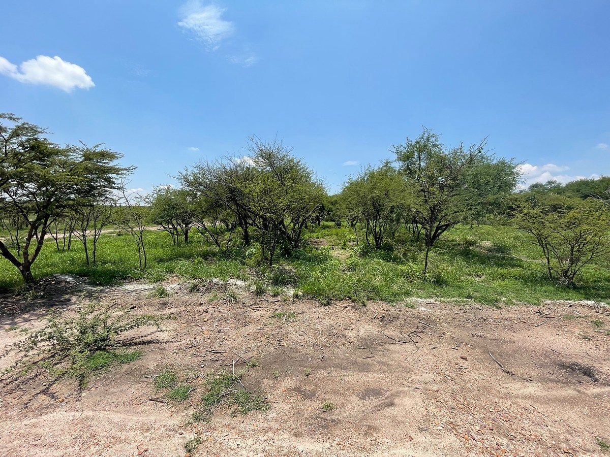 Lot in Ampliación Cieneguita, San Miguel de Allende, photo 6 of 12