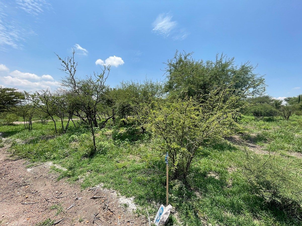 Lot in Ampliación Cieneguita, San Miguel de Allende, photo 7 of 12