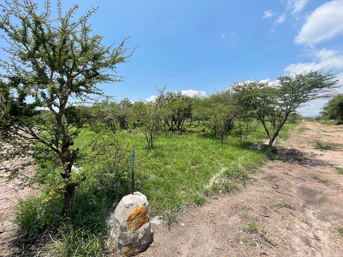 Lot in Ampliación Cieneguita, San Miguel de Allende, photo 8 of 12