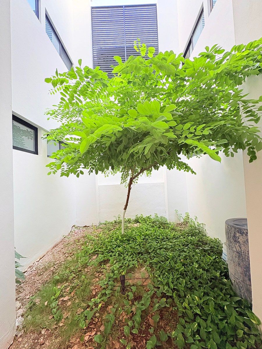 Apartamento em Nueva Revolución, Mérida, foto 5 de 20