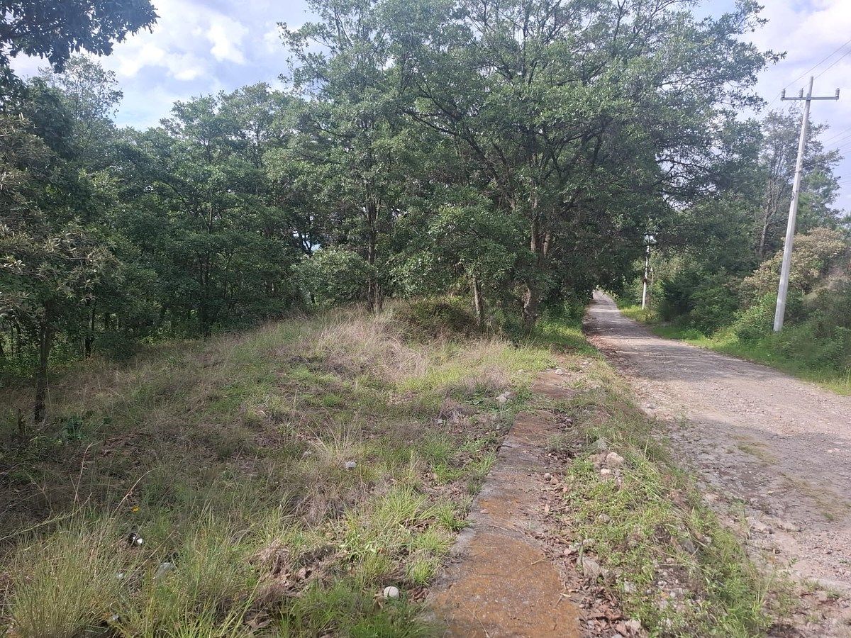 Lote em Villa del Carbón, Villa del Carbón, foto 8 de 8