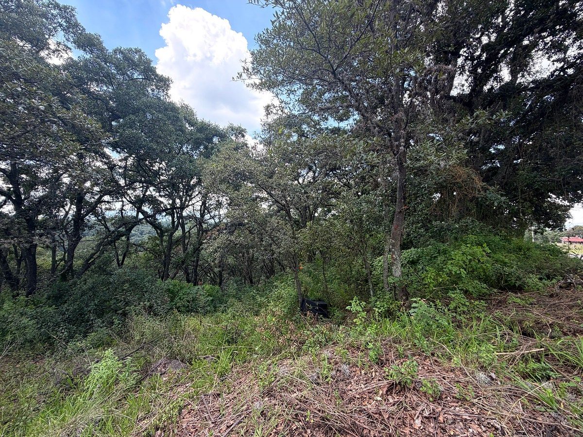 Lote em Villa del Carbón, Villa del Carbón, foto 11 de 22
