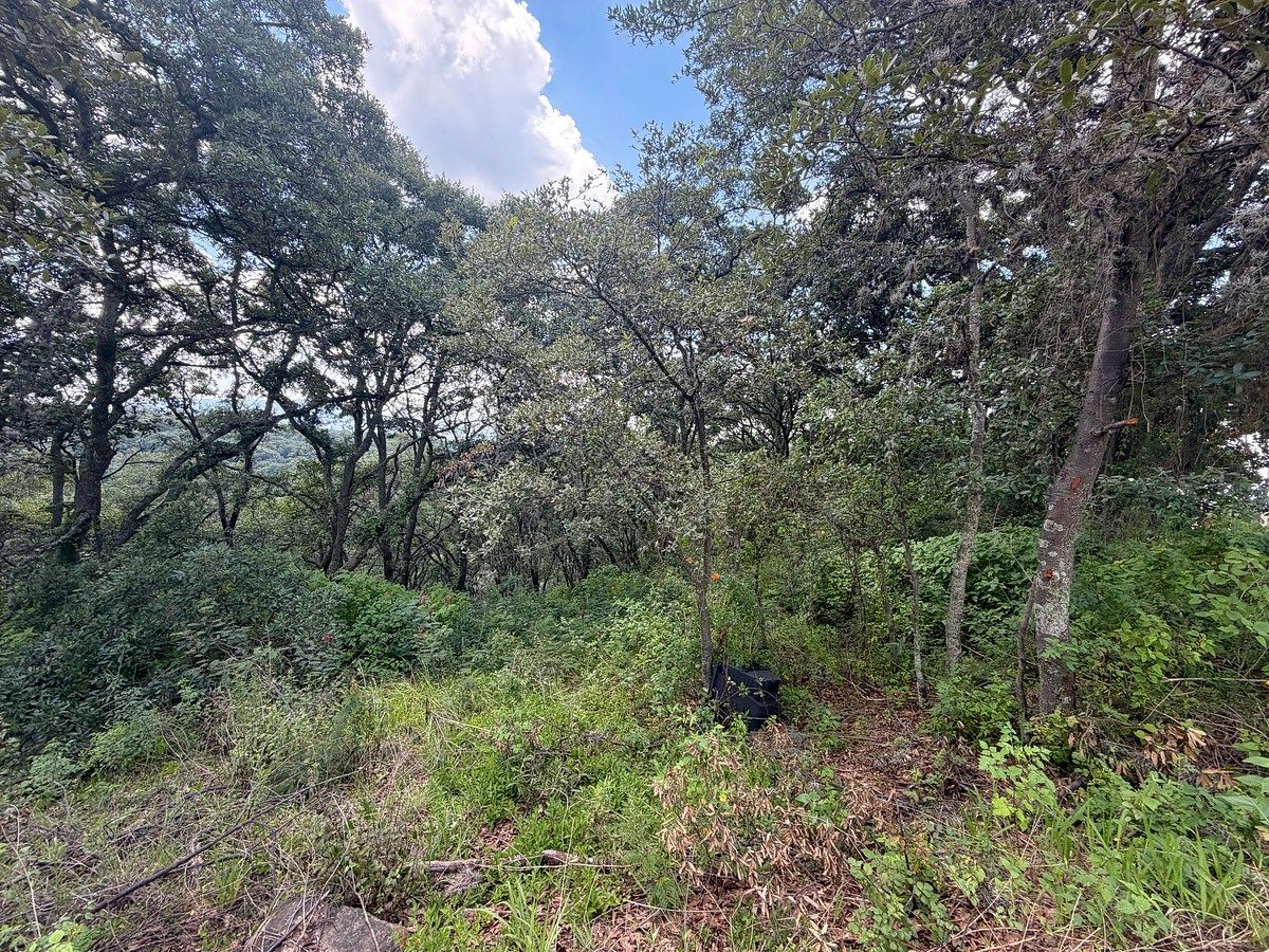 Lote em Villa del Carbón, Villa del Carbón, foto 13 de 22