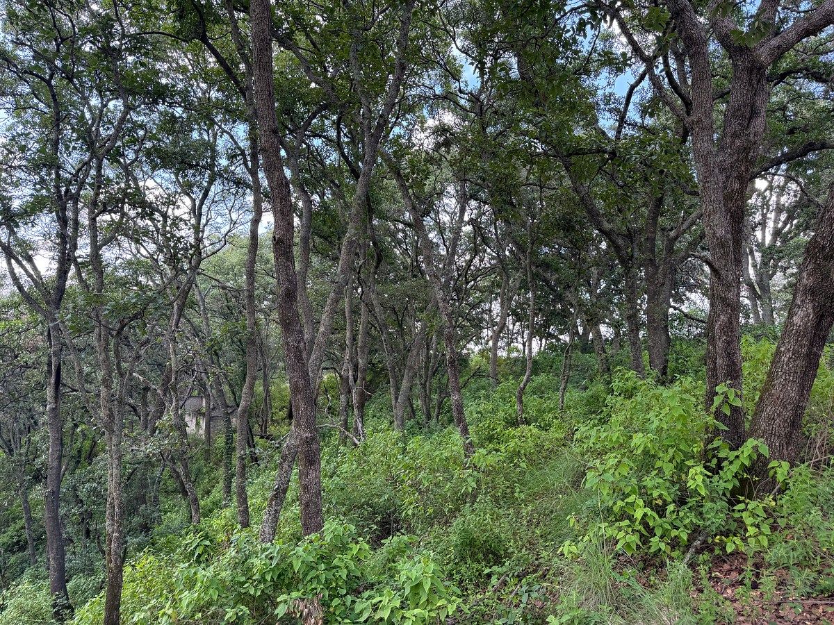 Lote em Villa del Carbón, Villa del Carbón, foto 20 de 22
