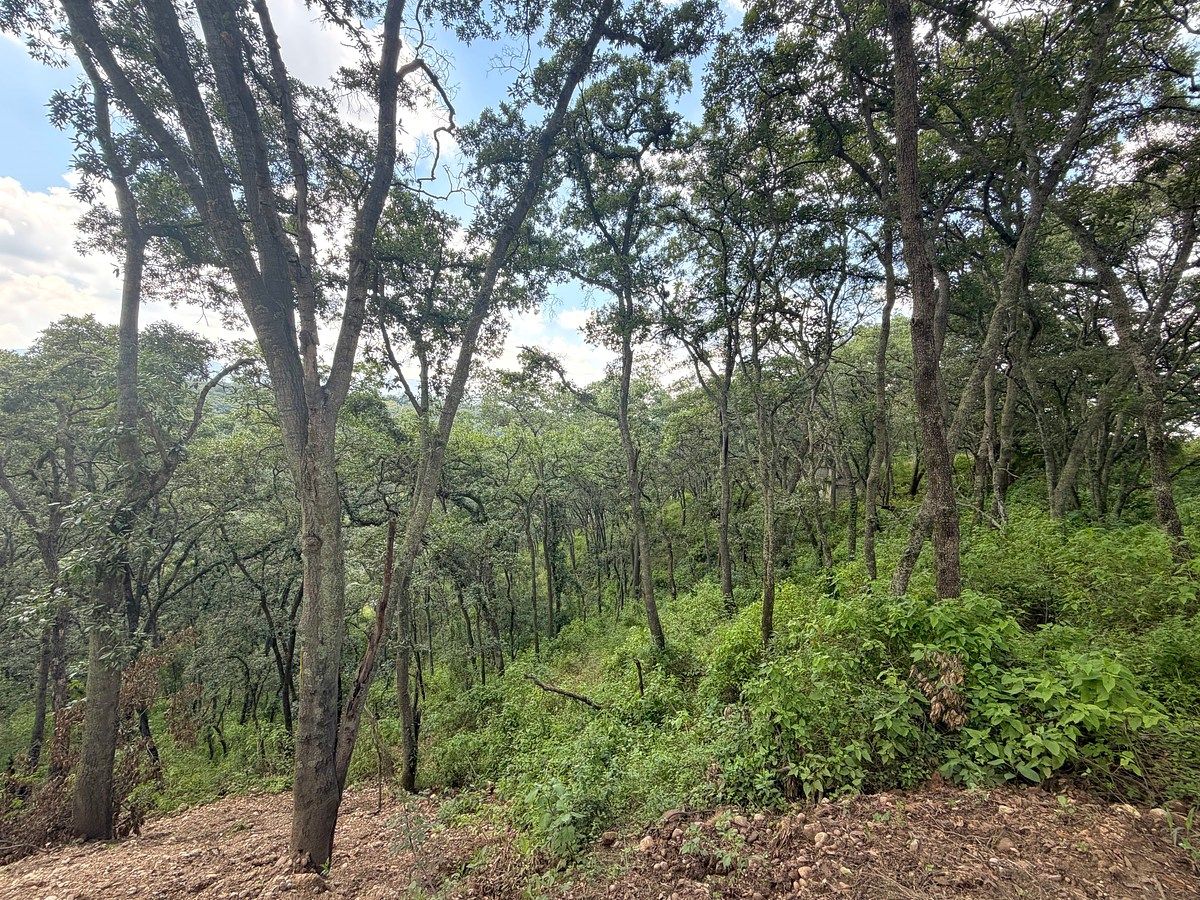 Lote em Villa del Carbón, Villa del Carbón, foto 22 de 22