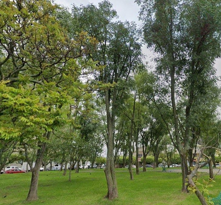Terreno en Vallarta Norte, Guadalajara, foto 5 de 5