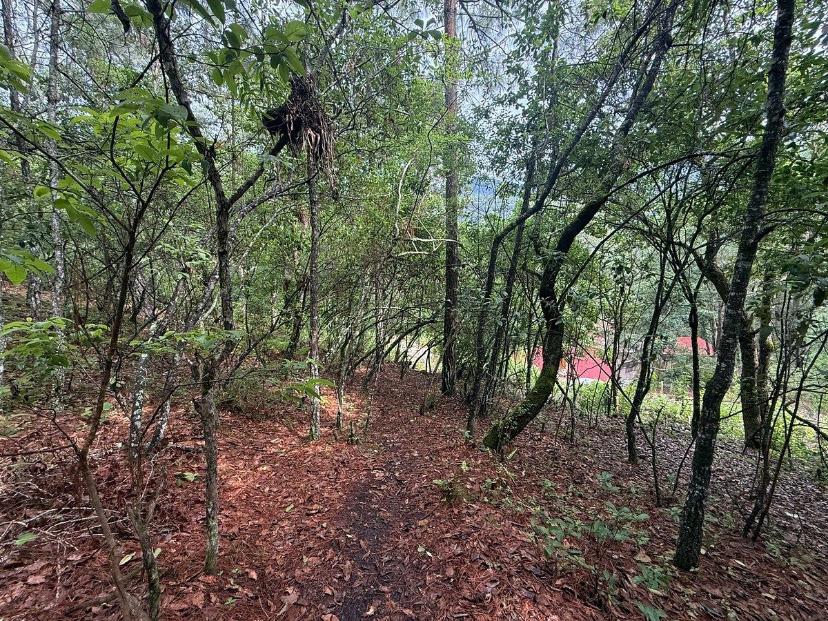 Lot in Corral de Piedra, San Cristóbal de Las Casas, photo 3 of 6