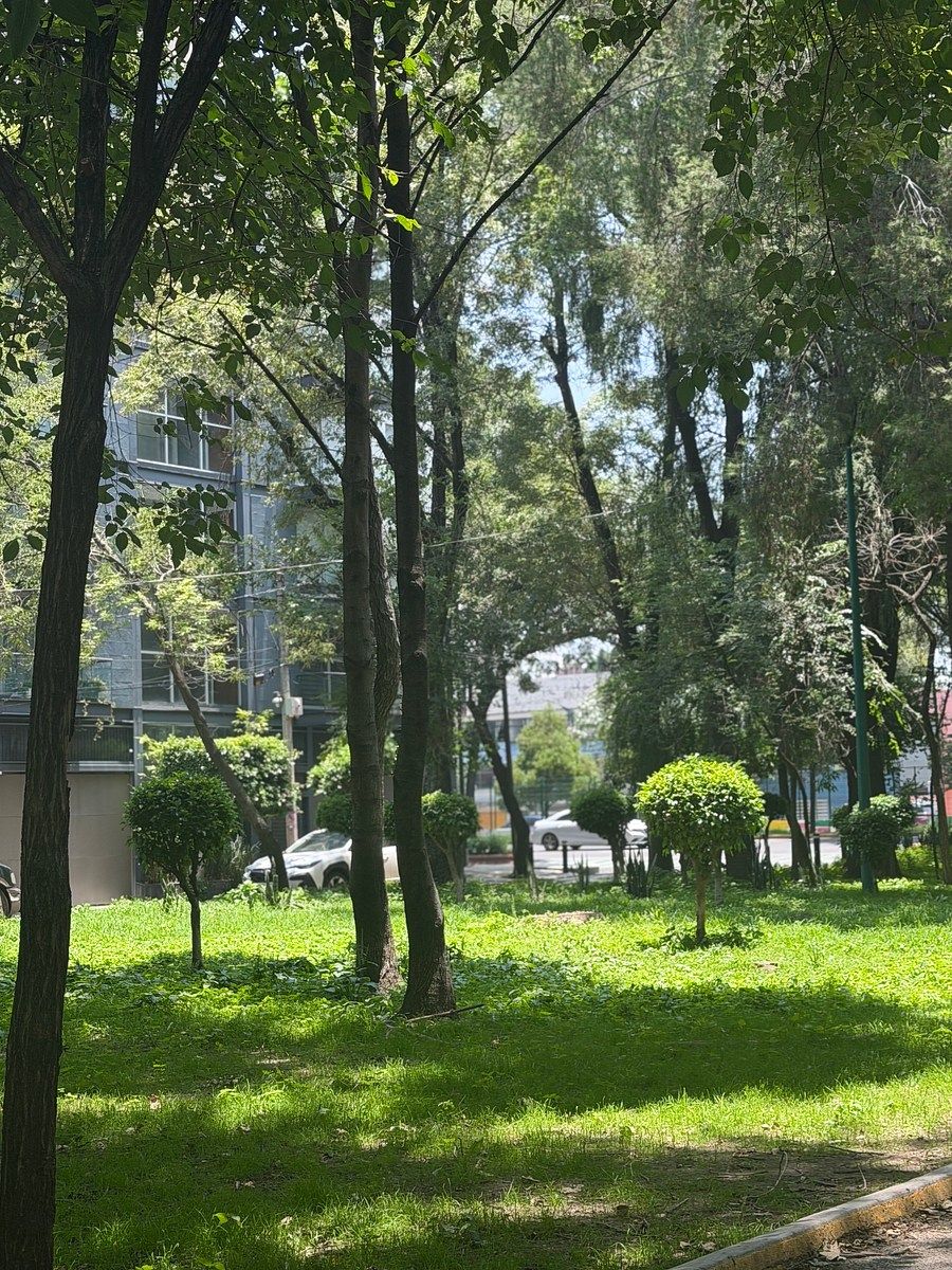 Departamento en Ciudad Jardín, Coyoacán, foto 34 de 35