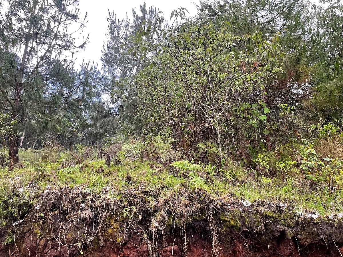 Lote em María Auxiliadora, San Cristóbal de Las Casas, foto 2 de 5