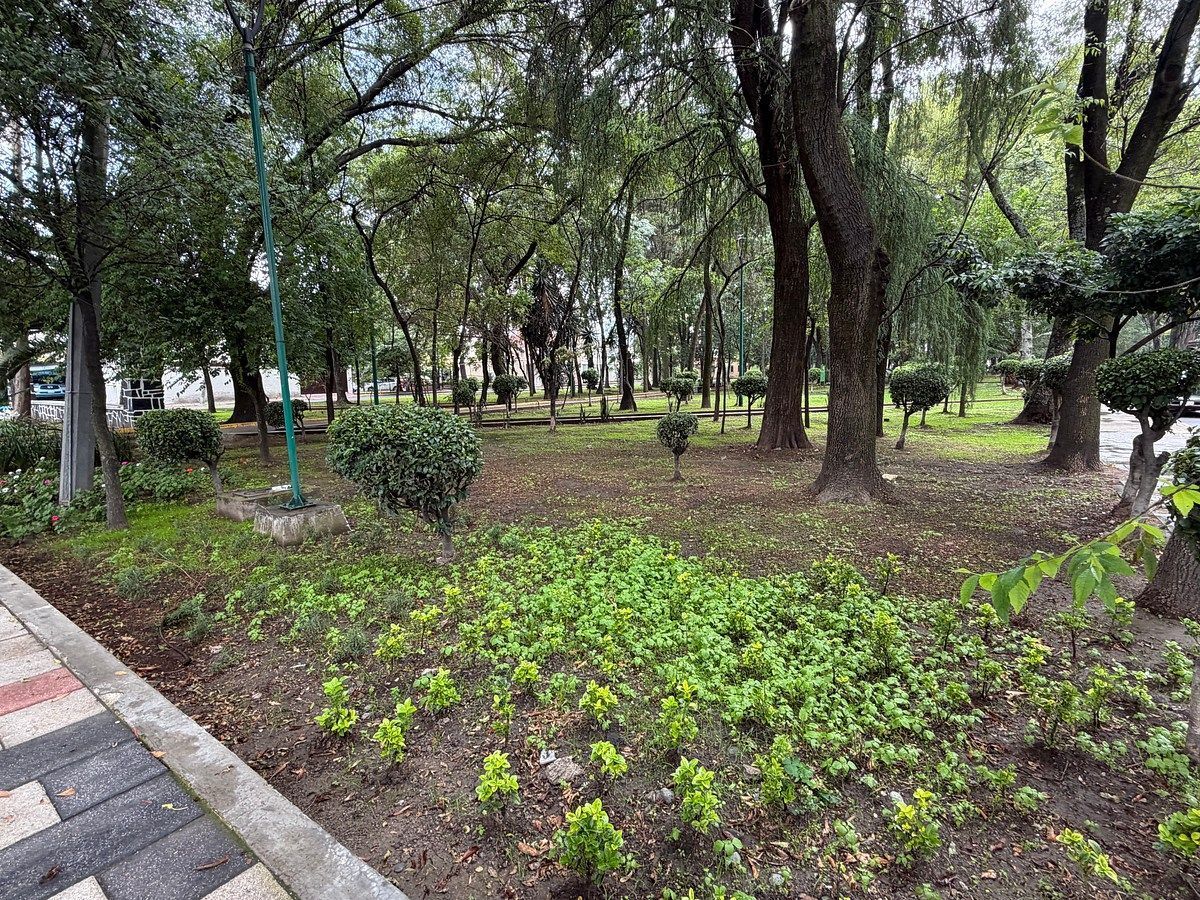 Apartamento em Ciudad Jardín, Coyoacán, foto 18 de 27