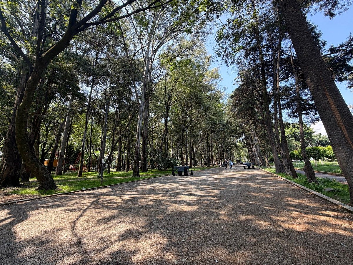 Departamento en Ciudad Jardín, Coyoacán, foto 29 de 31