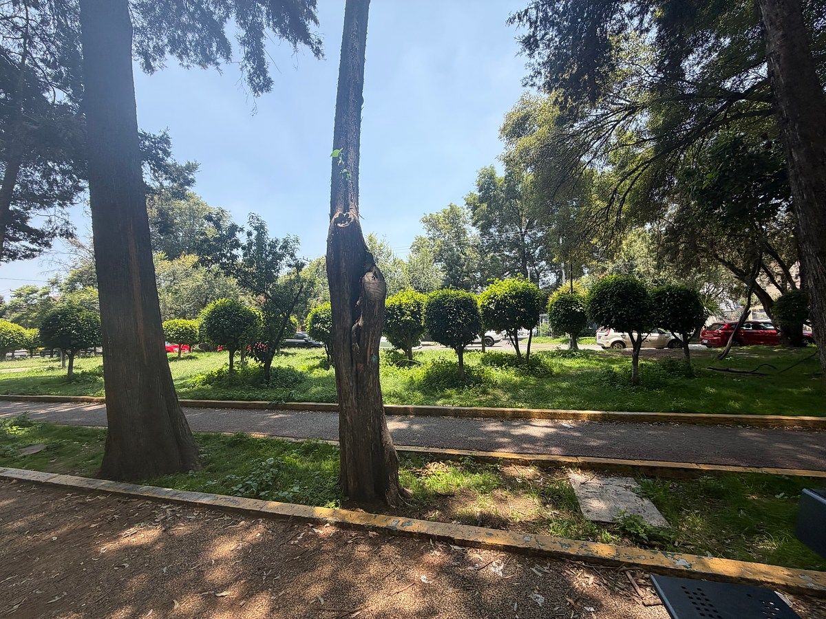 Departamento en Ciudad Jardín, Coyoacán, foto 31 de 31