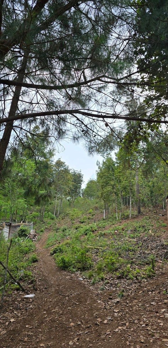 Terreno en Lomas de Huitepec, San Cristóbal de Las Casas, foto 2 de 2