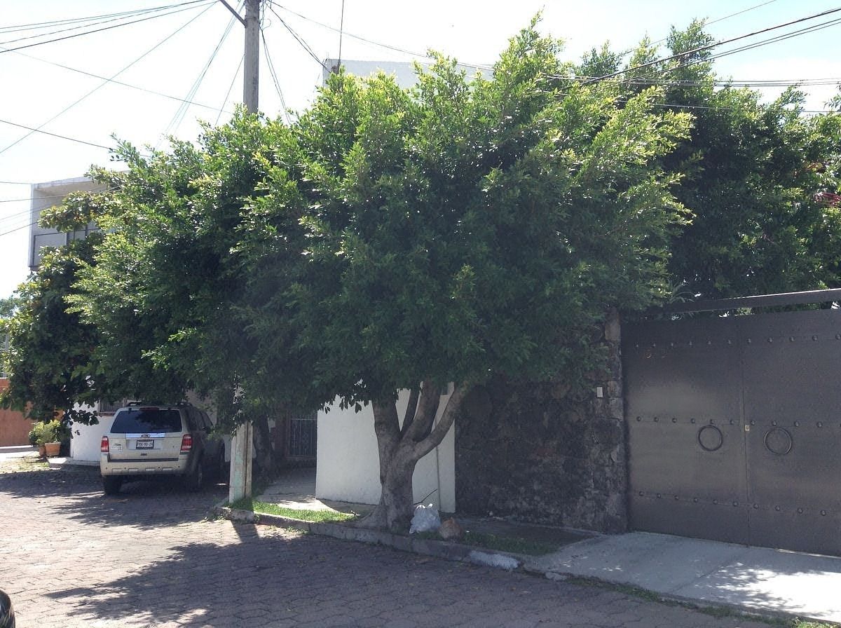Departamento en Cantarranas, Cuernavaca, foto 10 de 10