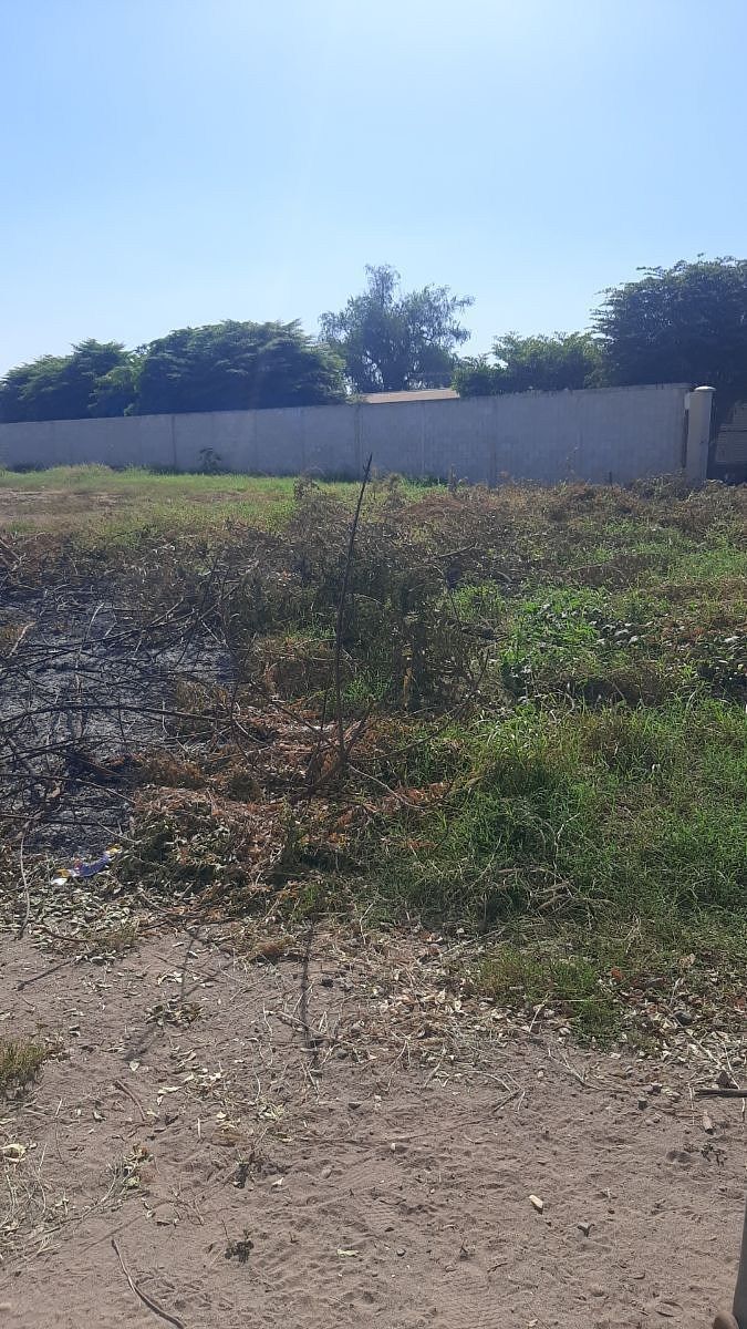 Terreno en Los Aguilares, Navolato, foto 3 de 7