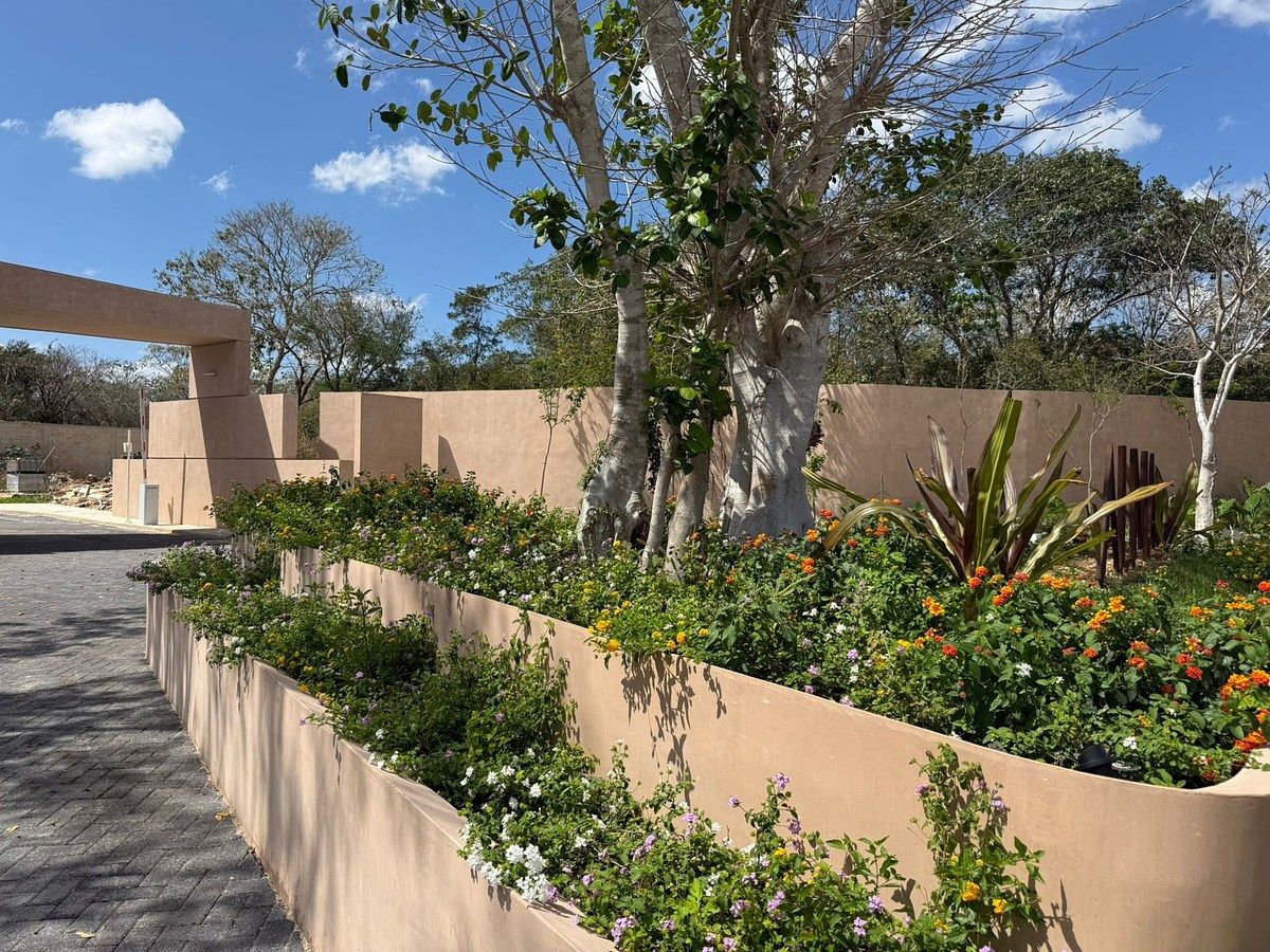 Casa en condominio en Cholul, Mérida, foto 4 de 37