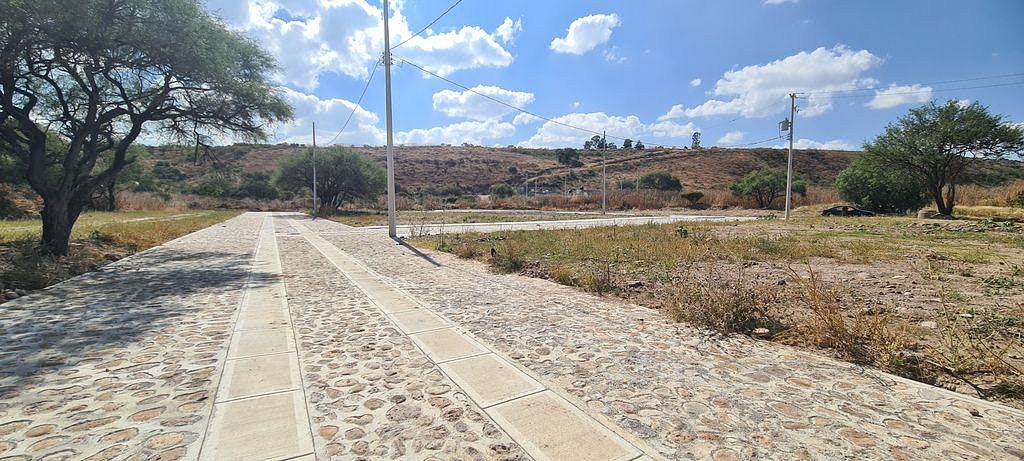 Terreno en Villa Hidalgo Centro, Villa Hidalgo, foto 4 de 5
