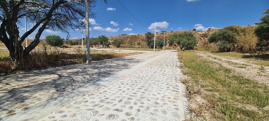 Terreno en Villa Hidalgo Centro, Villa Hidalgo, foto 5 de 5