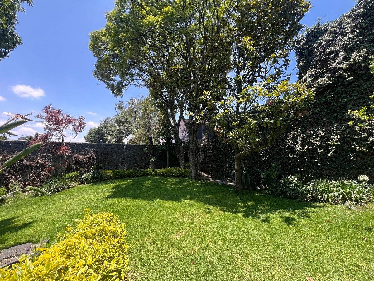 Jardín, foto 6 de 36