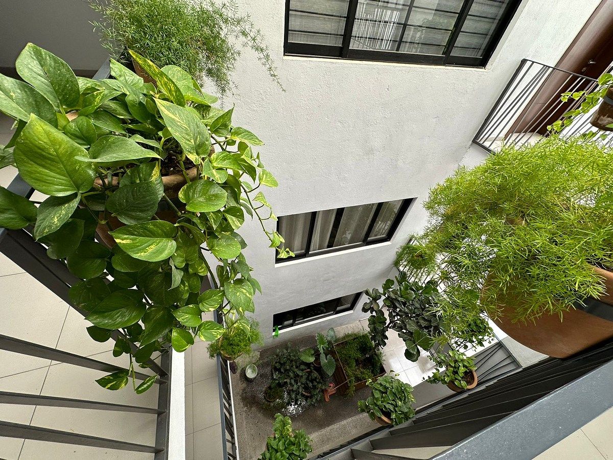 Apartamento em Constitución, Zapopan, foto 22 de 24