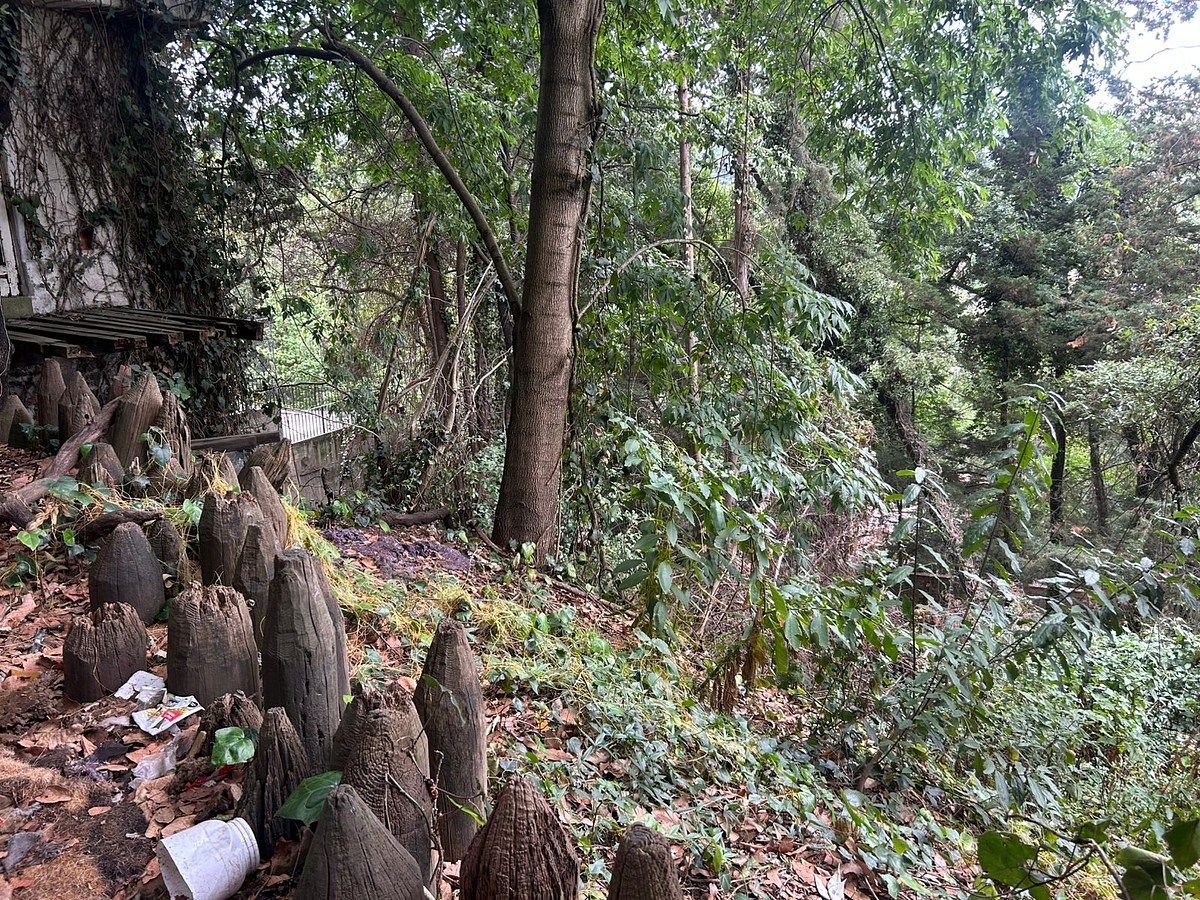 Terreno en San Bartolo Ameyalco, Álvaro Obregón, foto 7 de 14